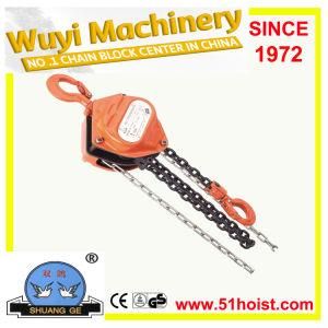 Hs-J Series Chain Block Shuang Ge (peace bird) Brand 0.5t-20t