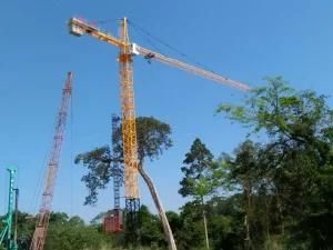 Topkit Tower Crane 60m Jib Length Tip Load 1ton Max Capacity 8ton Install at Xinjiang Worksite