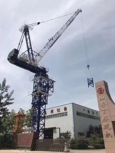 Bmjjtl120 (5016-8) Luffing Tower Crane for Vietnam