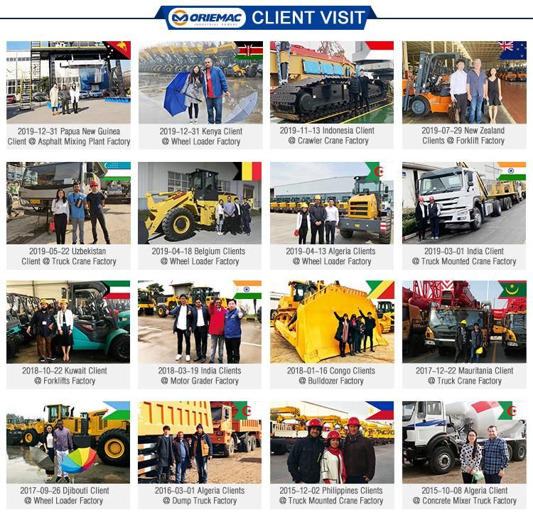 Lifting Construction Machinery Zoomlion Ztc250V552 25 Tons 50 Ton Small Telescopic Boom Mobile Truck Crane Mini Crane