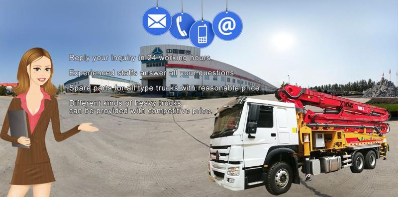 HOWO 12 Tons Truck-Mounted Crane Lorry Truck with Construction Equipment