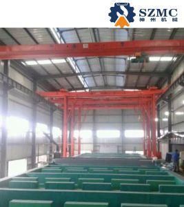 Qey Type Electric Double Girder Bridge Coloring Crane for Qatalum Workshop