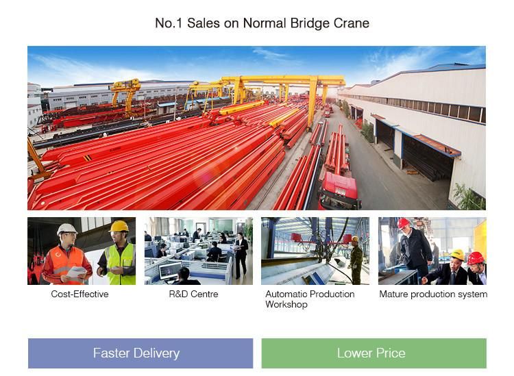 European Electric Double Beam Overhead Bridge Crane for Sale