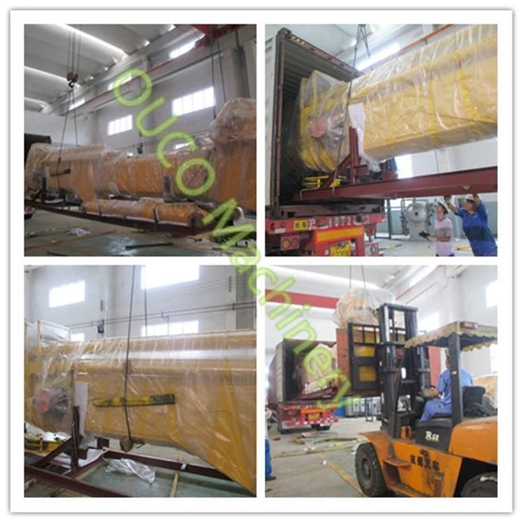 30t Marine Crane Offshore Working Condition with Advanced Equipment