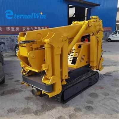 Hot Sale 3ton Mini Crawler Crane Spider Crane with CE