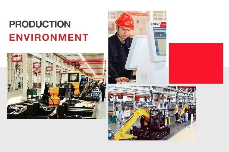 Sany Stc250 China Factory Crane Truck for Sale