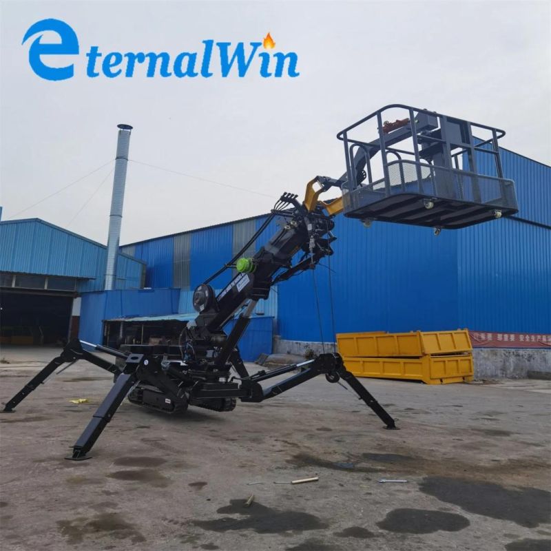 Mini Hydraulic Crawler Lifting Crane 3t 5t 8t 12t Electric and Engine Dual Power Spider Crane with Fly Jib