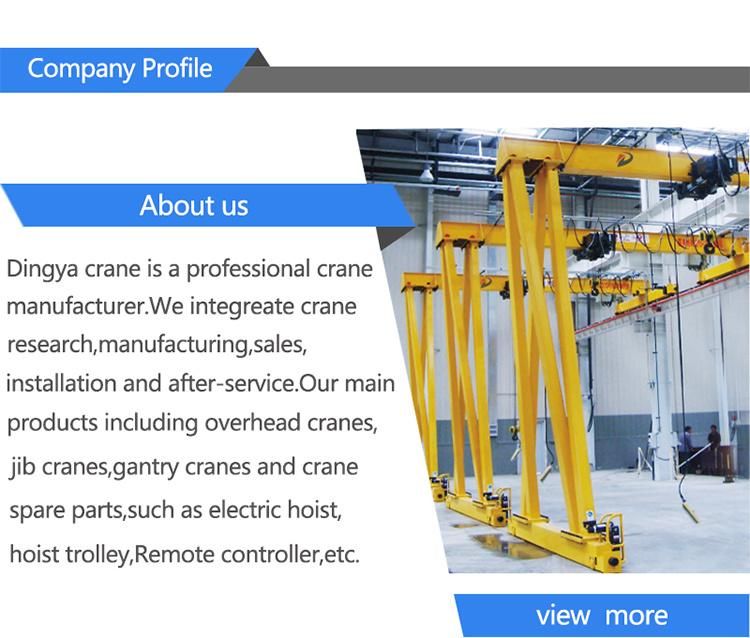 Dy High Quality 5t 6t 7t 8t 10t 380V Remote Control Gantry Crane with Rail and Electric Hoist