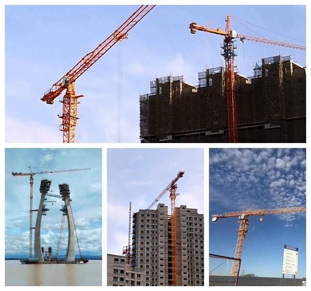 Shd Qtp50-5010-5t China Manufacturer of Tower Crane