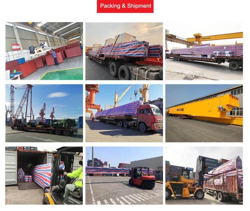 China Top Industrial Crane Brand Nucleon Double Girder Heavy Duty Overhead Crane for Steel Shop