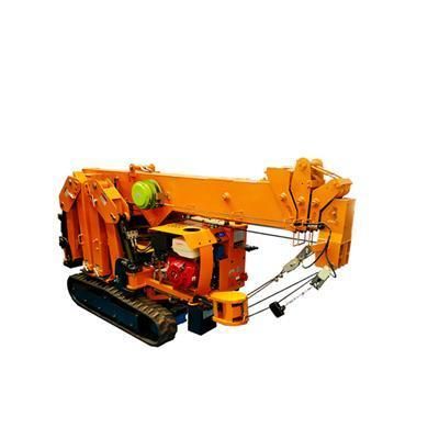 Electrical Hoist Crane 500kg