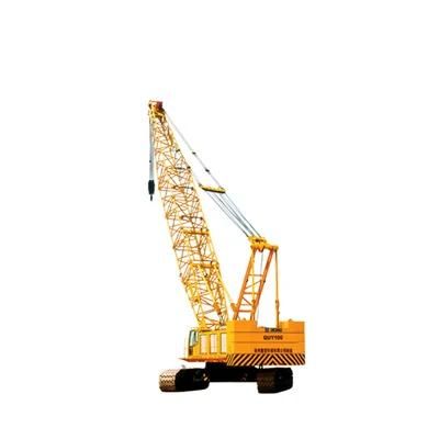 250t Crawler Crane Hot Sale Quy250 in India