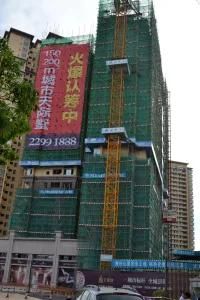 Building Hydraulic Construction Tower Crane