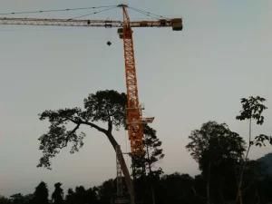 Qtz125 Type Tower Crane