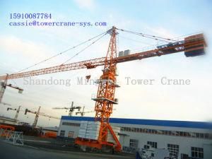 10tons Qtz125 (TC6118) Tower Crane Accord with The European Standard