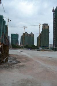 High Quality Construction Building Equipment Tower Crane Qtz80 (TC5613)
