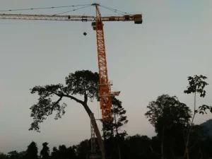 Qtz6515-10t Topkit Tower Crane