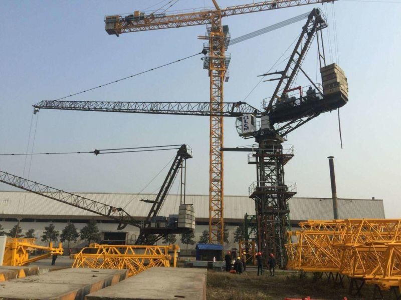 Whole Sale Scale Construction Zoomlion 120 Ton Hammerhead Tower Crane D2500-120 for Sale