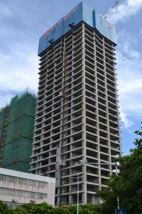 Boom Length Building Construction Tower Crane