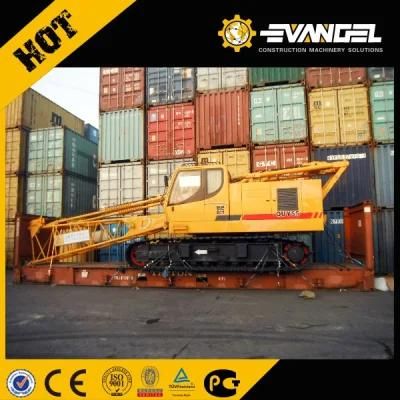 75ton Mobile Crawler Crane Quy75 Lower Price