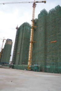 Qtz125 (TC6513C-8) China Building Tower Crane