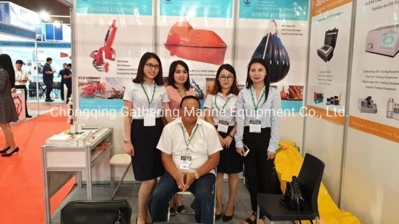 50 Kn-170 Kn Solas Gravity Luffing Arm Type Davit for Enclosed Lifeboat