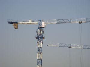 Quick Erected Tower Crane/ Self-Erecting Flattop Tower Crane Qtz100 (PT5613)
