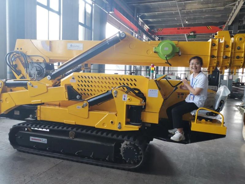 Mini Crawler Crane Factory Lifting Machine Mobile Spider Cranes