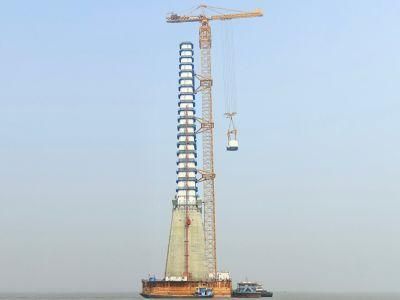 Zoomlion 16 Ton Tower Crane Tc7525-16 with Remote Control