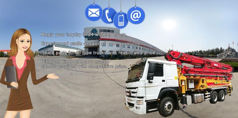 Sinotruk HOWO 8X4 336HP Cargo Truck Mounted 10ton Crane