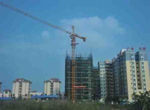 Qtz160 (TC6517-8) Trustworthy Construction Building Tower Crane