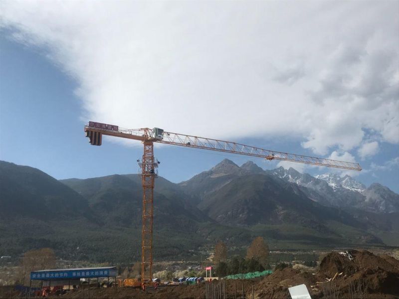 Wa7015-10m Zoomlion Construction Machinery Flat-Top/Top-Less Tower Crane