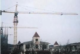 Mingwei Construction Self-Erecting Tower Crane Qtz63 (5610) with Max Load: 6t/Jib 56m