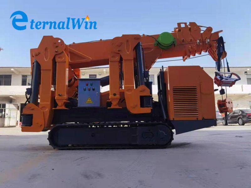 Spider Crane Manufacturer Crawler Mini Electric Crane with CE Certificate