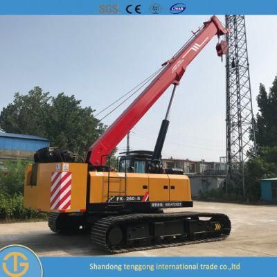 Small Construction 25 Ton Mobile Control Crawler Crane