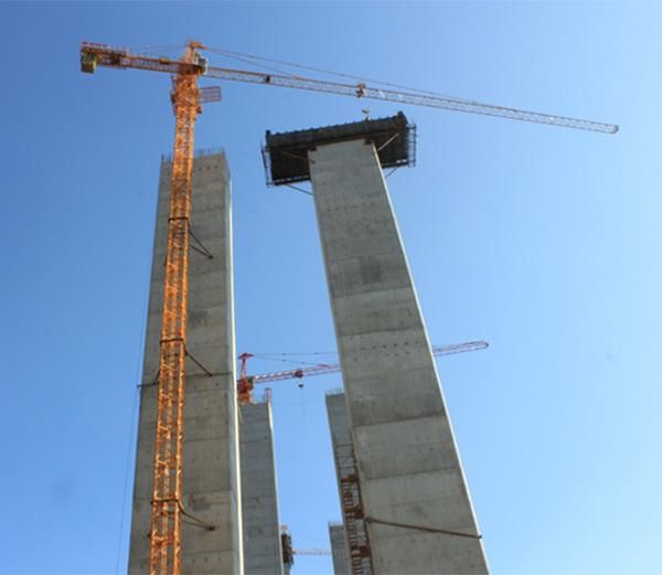 Small Tower Crane Syt63 (T5013-5) New Tower Crane with Cheap Price