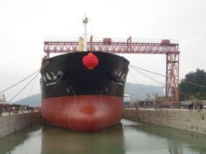 Shipyard Gantry Crane 18 with SGS