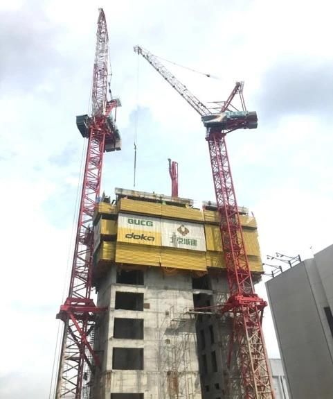 L200-10ka Zoomlion Construction Machinery 10t Used Luffing Jib Tower Crane