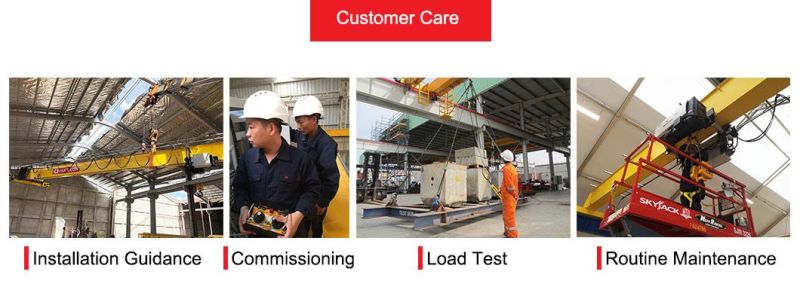 CE Certified Workshop 10t Double Girder Bridge Crane for Maintenance Factory