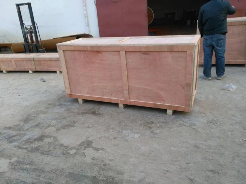 Most Convenient Lifting Carrying Equipment Aluminum Gantry Crane for Sale