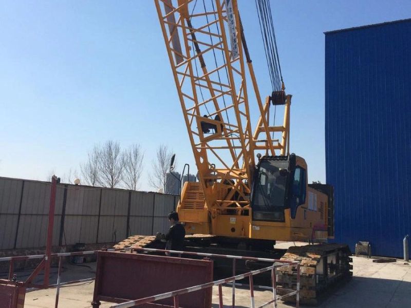 75 Ton Hydraulic Crawler Crane Quy75