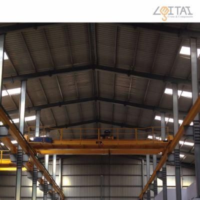 Fem Standard 30t Double Girder Overhead Crane with Electric Winch