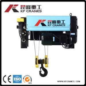 5 Ton Expert Manufacturer of Electric Hoist