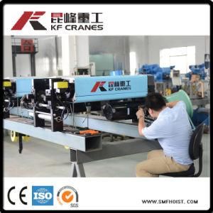 China Manufacturer of Electric Hoist