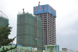 Frequency Inverter Topless Tower Crane