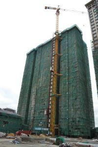 Building Tower Crane Qtz100 (TC6013C-8) Job 60m Max. Load 8t