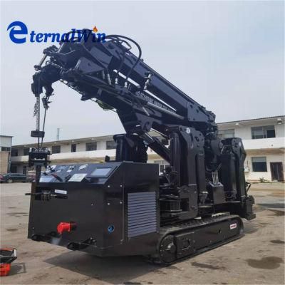 3 Ton Capacity Black Spider Crane with Fly Jib and Basket