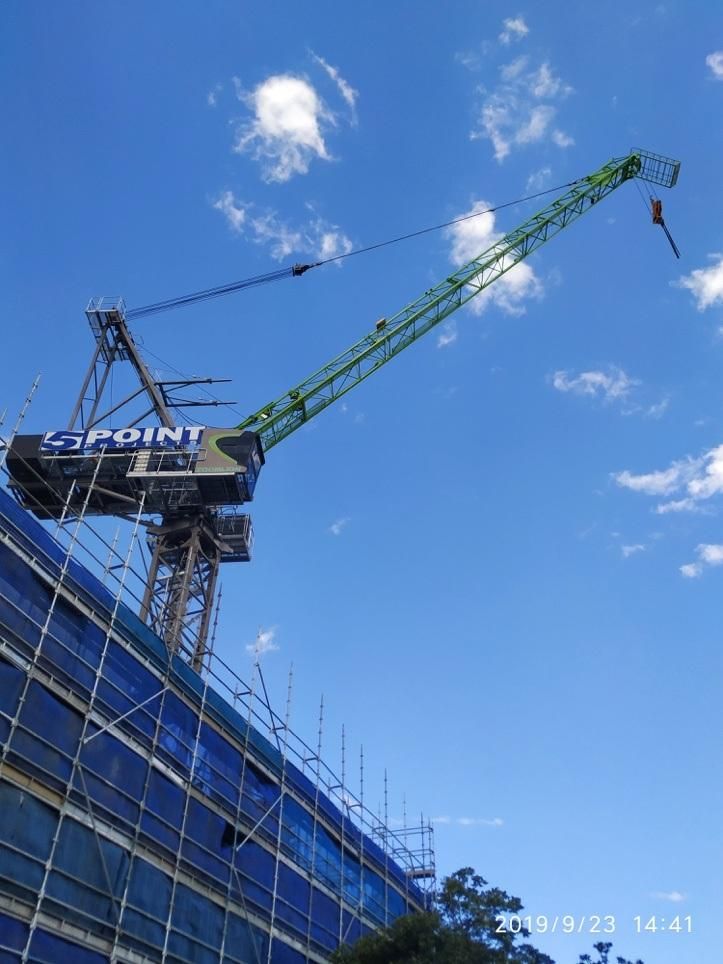 L125-10f Zoomlion Construction Machinery Luffing Jib Tower Crane