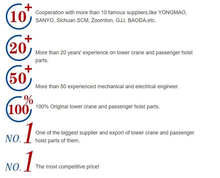 China Famous Factory Passenger Hoist Fixed Magnet for Sale