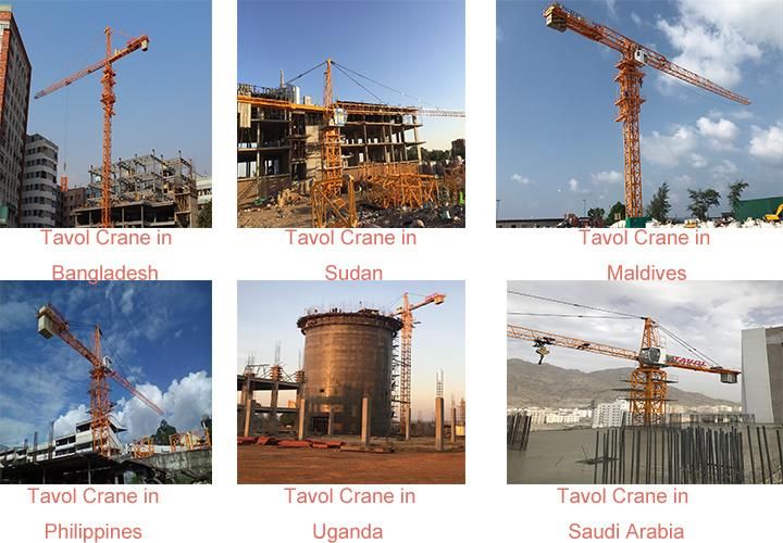 6t China Construction Manufacturer Topless Tower Crane